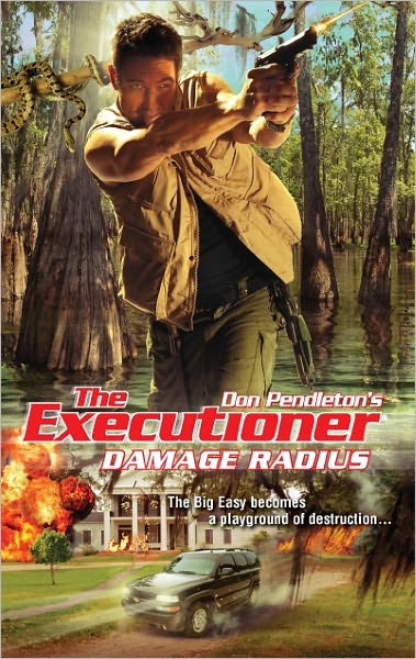 Damage Radius cover